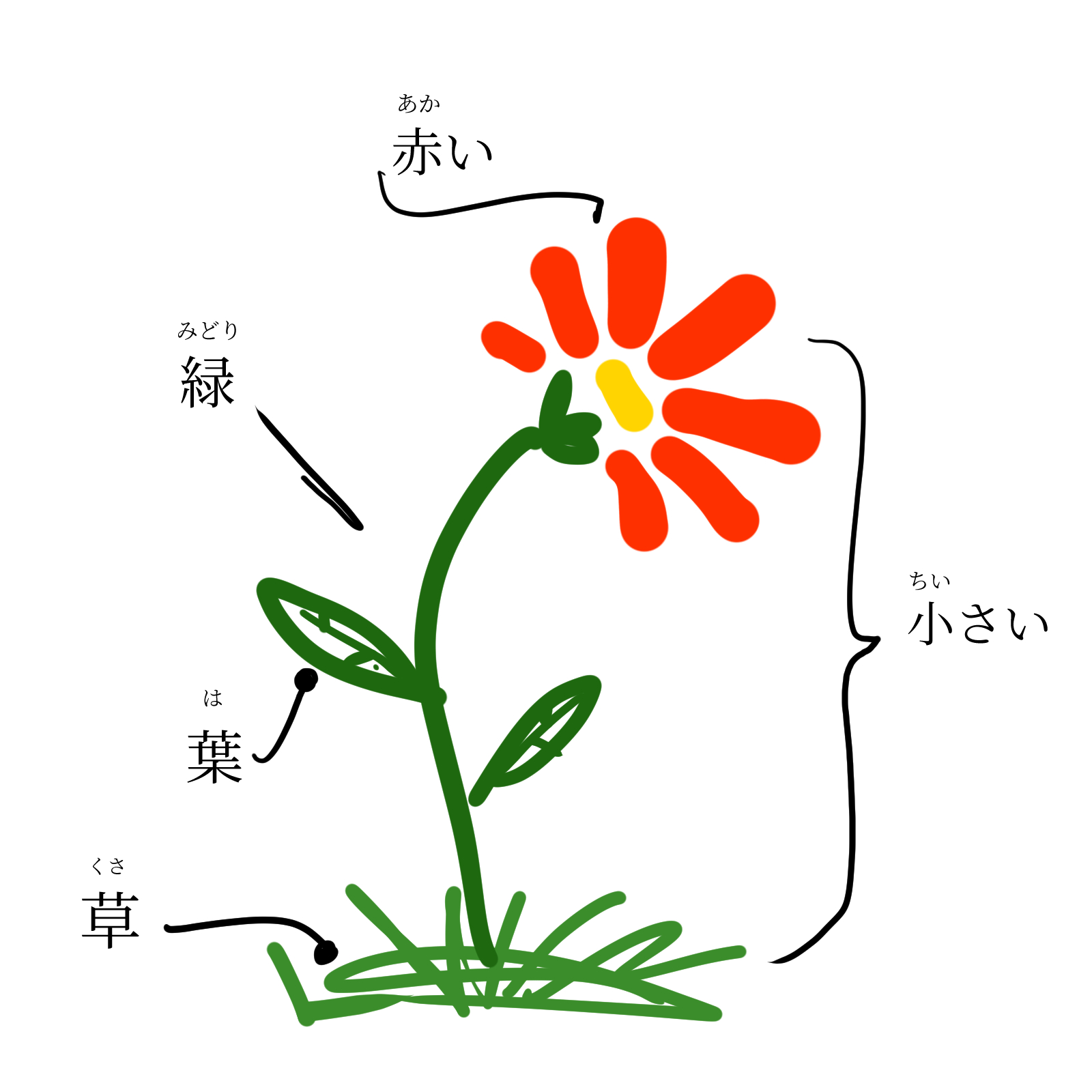 An image of a flower with notes about different parts or characteristics of the flower in Japanese. The grass the flower grows on is noted by くさ. The leaf of the flower is noted by は. The colour of the stem is noted by みどり. The colour of the petals is noted by あかい. The size of the flower is noted with ちいさい.