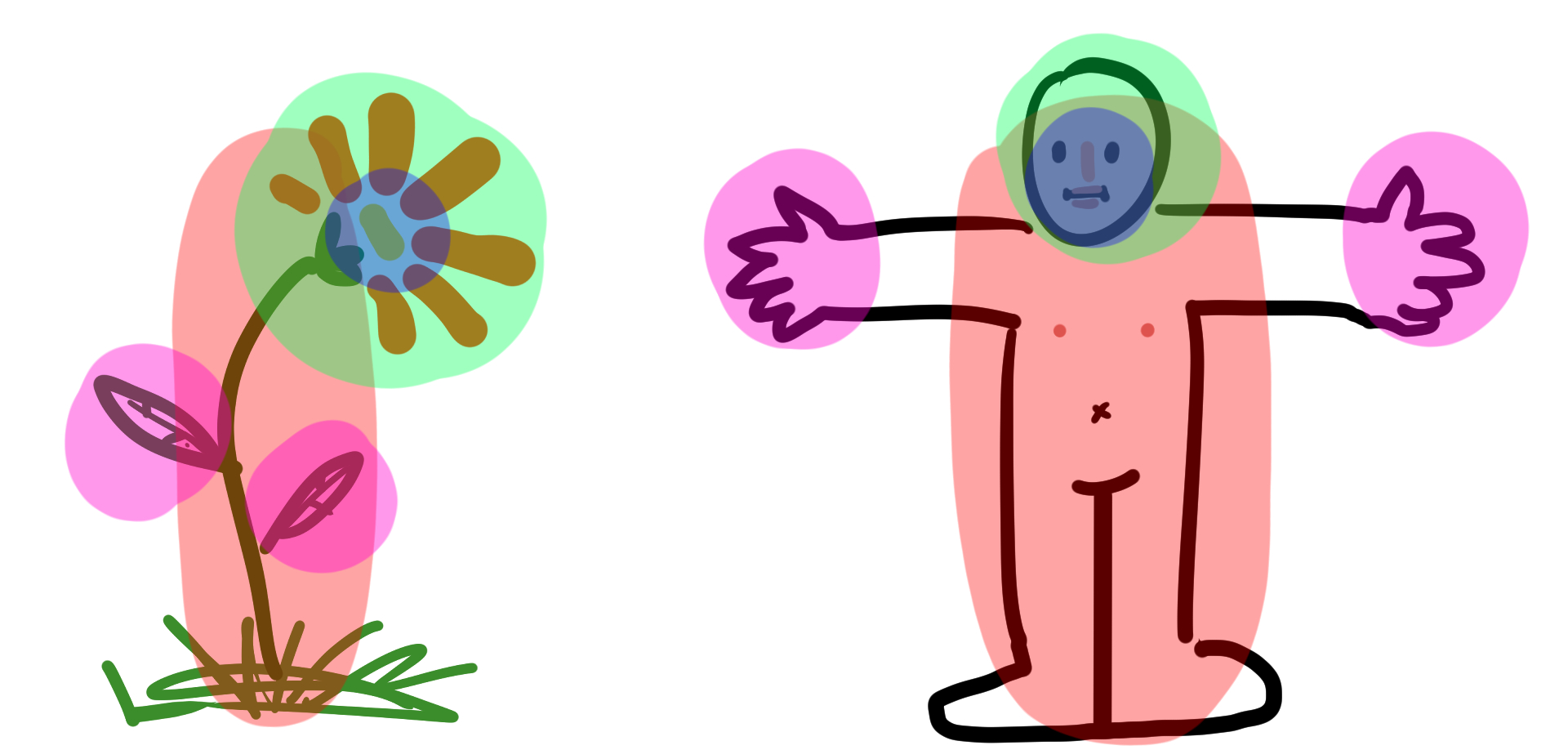 The flower is shown next to a human body, comparable parts are noted. The body of the human and the stem of the flower. The leaves and the hands. The flower itself and the human's head.